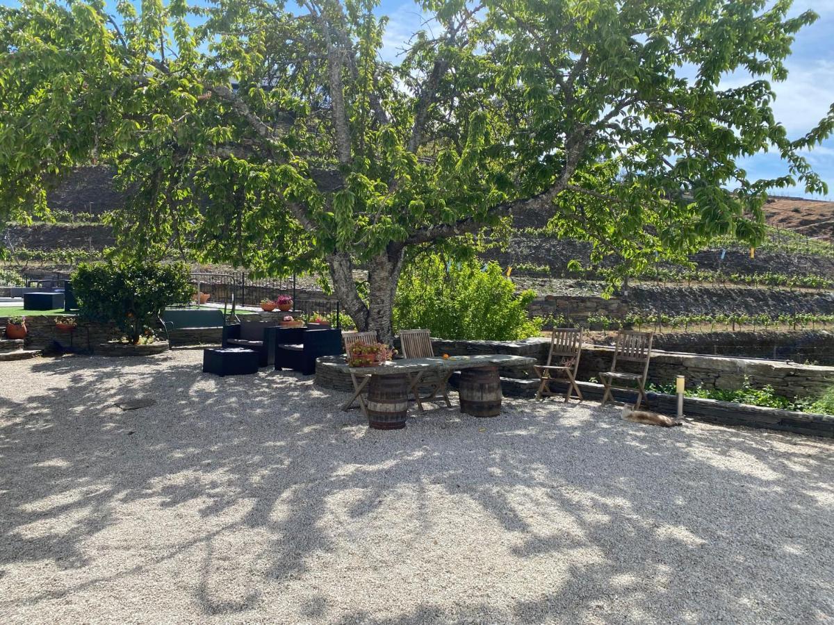 Quinta Da Casa Cimeira, Guest House, Wines & Food Farm stay *